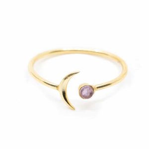 Månadsten Ring Ametist Februari med Måne  - 925 Silver Guld Förgylld - Justerbar